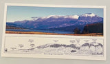 Andy Grey Postcards