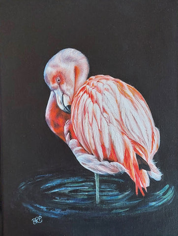 Pink flamingo  - Brenda Ritchie Patience