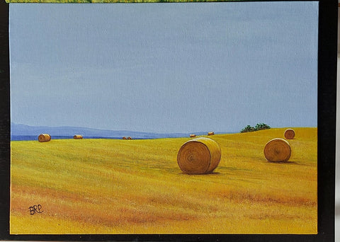 Fields of gold - Brenda Ritchie Patience