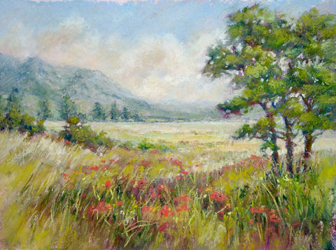 Poppies - Esther Armstrong