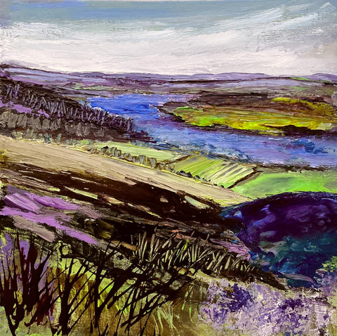 Struie Hill 1 - Jane MacRae